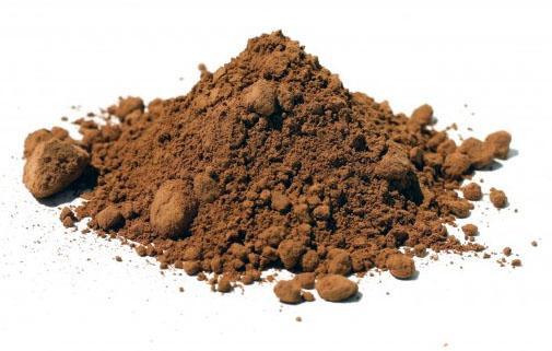 Essential Living Raw Cacao Powder - 200 gm 